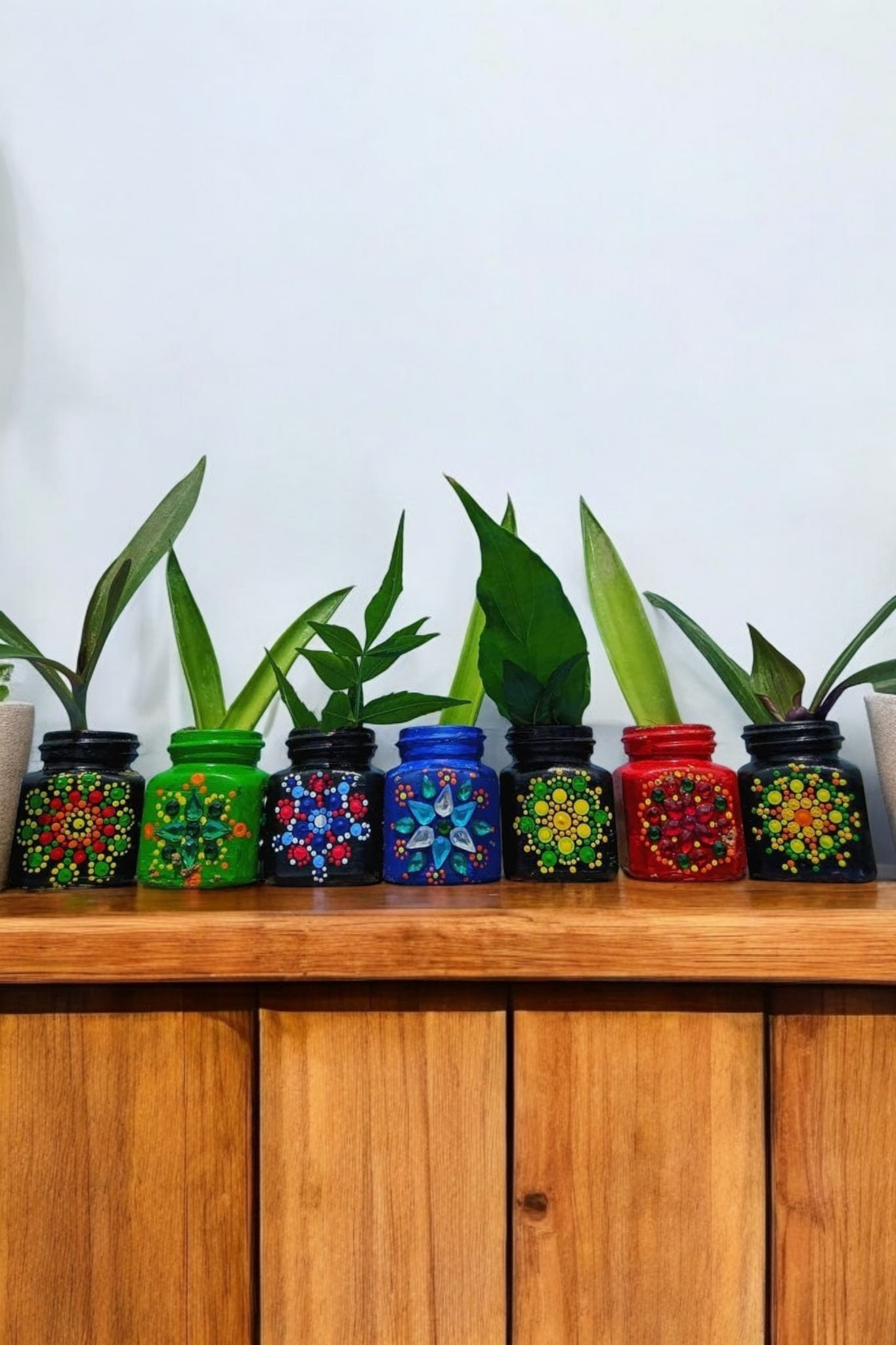 Mandala Magic Mini Gardens