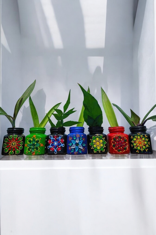 Mandala Magic Mini Gardens