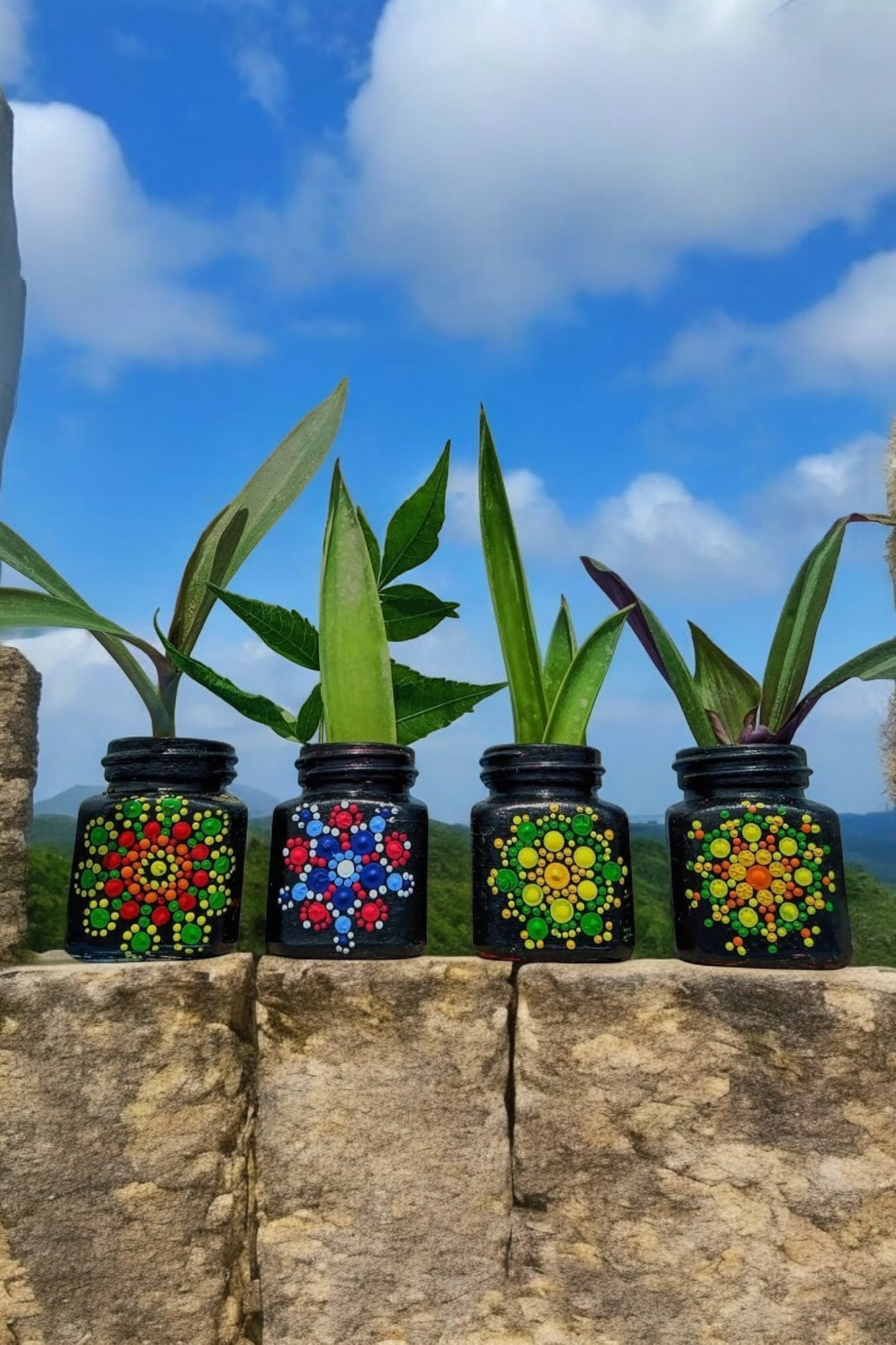 Mandala Magic Planters