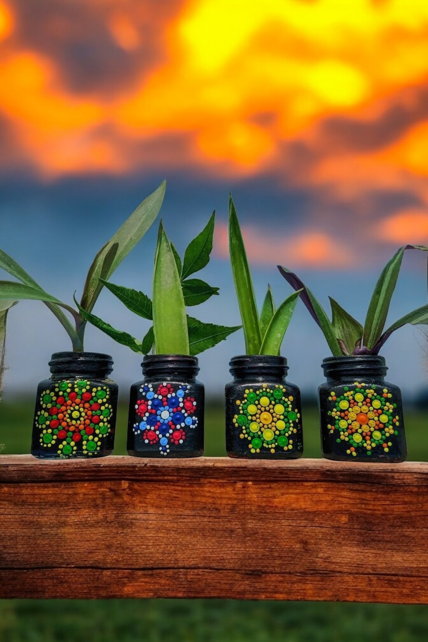 Mandala Magic Planters