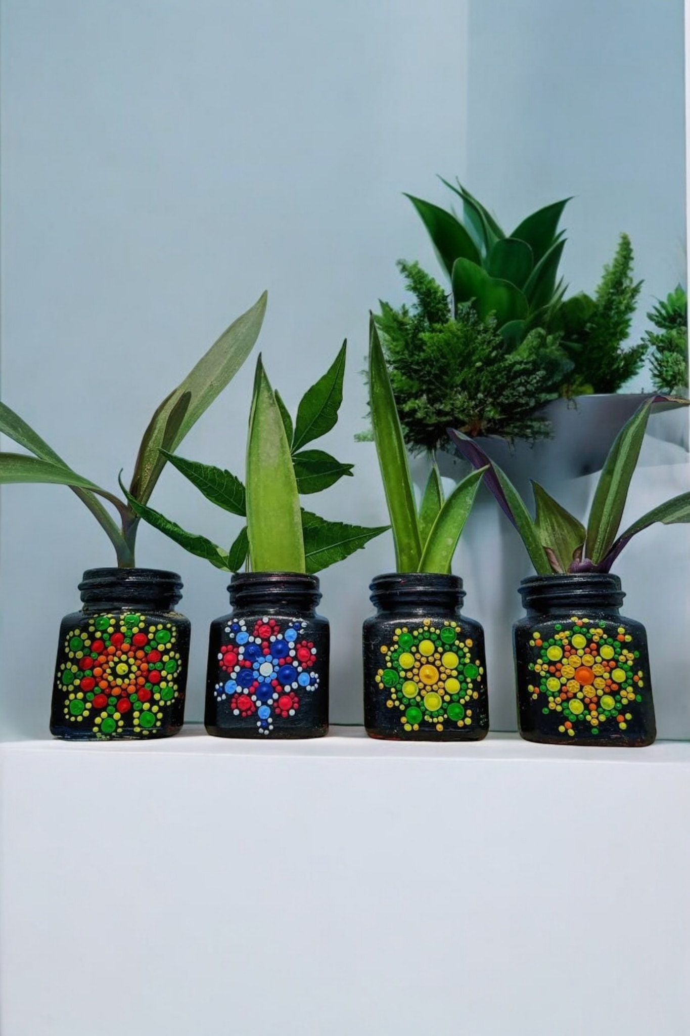 Mandala Magic Planters